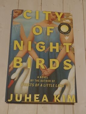 City Of Night Birds Adult Novel Fiction Book By Juhea Kim